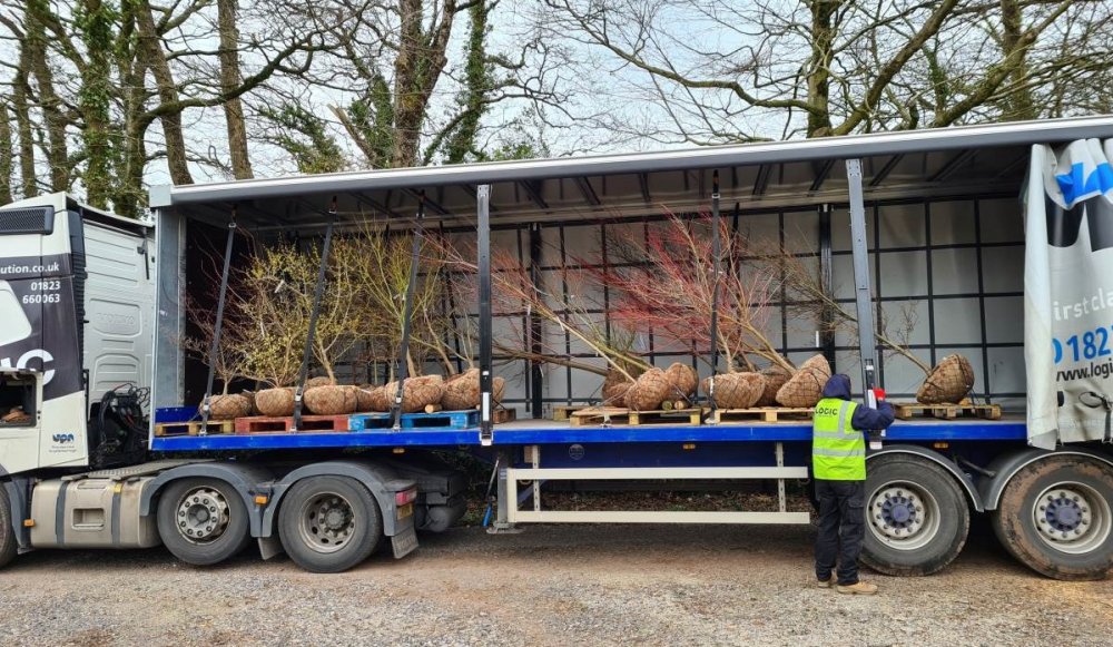Rootballed open ground specimens loaded on a lorry for a dedicated delivery, in this case to the London area.